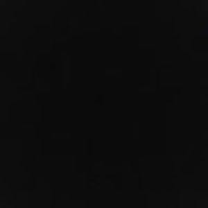 Meet your Posher, Leonard